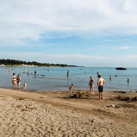 公寓 App Oleander *