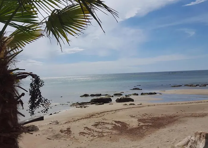 App Oleander * 乌马格