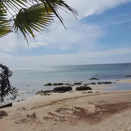 App Oleander * Умаг